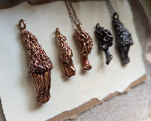 Load image into Gallery viewer, Morel Mushroom - C