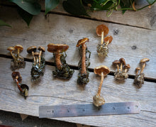 Load image into Gallery viewer, Sealed Mushroom Pins