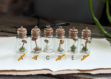 Load image into Gallery viewer, Mini Vial Necklace with Cord
