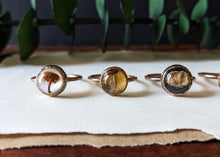 Load image into Gallery viewer, Copper Ring : Sizes 6.5