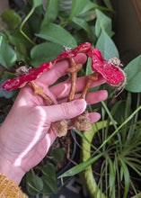 Load image into Gallery viewer, Batch 4 - One Ornament - Random Pick
