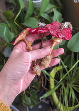 Load image into Gallery viewer, Batch 4 - One Ornament - Random Pick
