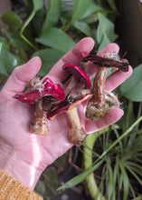 Load image into Gallery viewer, Batch 5 - One Ornament - Random Pick
