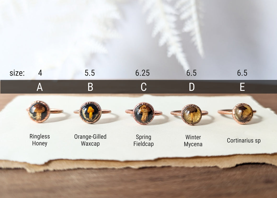 Copper Ring : Size 4 - 6.5