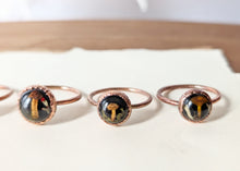 Load image into Gallery viewer, Copper Ring : Size 8.5
