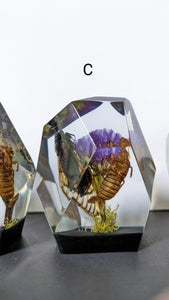 Small - Cicada Crystals