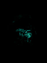 Load image into Gallery viewer, Small - Mushroom Crystals
