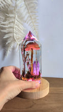 Load image into Gallery viewer, Large - American Blusher w/ amethyst **Light Base Not Included
