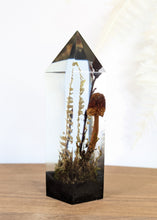 Load image into Gallery viewer, Large - American Blusher w/ Ghost Pipe Flower

