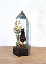 Load image into Gallery viewer, Large - Black Morel

