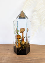 Load image into Gallery viewer, Large - Yellow Fly Agaric
