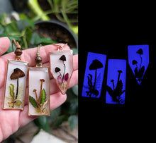 Load image into Gallery viewer, Mushroom Frame Necklaces
