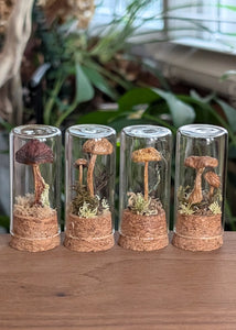 *New : Tabletop Mushroom Vials