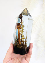 Load image into Gallery viewer, Large - American Blusher w/ Ghost Pipe Flower
