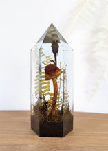 Load image into Gallery viewer, Large - American Blusher w/ Ghost Pipe Flower
