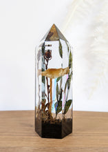 Load image into Gallery viewer, Medium - Frost's Amanita w/ Ghost Pipe Flower
