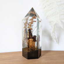 Load image into Gallery viewer, Large - Black Morels
