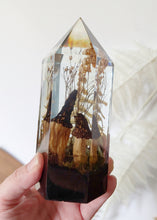 Load image into Gallery viewer, Large - Black Morels
