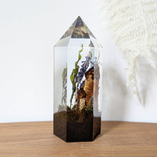 Load image into Gallery viewer, Large - Half-Free Morels
