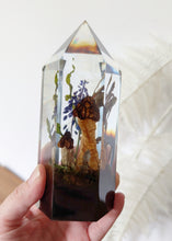 Load image into Gallery viewer, Large - Half-Free Morels
