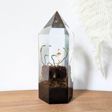 Load image into Gallery viewer, Large - Walnut Mycena
