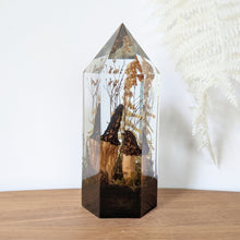 Load image into Gallery viewer, Large - Black Morels
