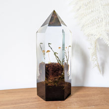 Load image into Gallery viewer, Large - Walnut Mycena
