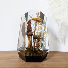 Load image into Gallery viewer, Extra Large - Morel, Honey, and Stalked Puffballs
