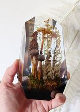 Load image into Gallery viewer, Extra Large - Morel, Honey, and Stalked Puffballs
