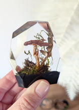 Load image into Gallery viewer, Small - Mushroom Crystals

