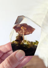 Load image into Gallery viewer, Small - Mushroom Crystals
