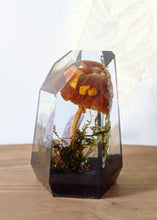 Load image into Gallery viewer, Extra Large -White Dapperling w/ Amethyst
