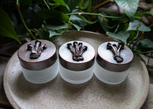 Load image into Gallery viewer, Glass/Copper Mushroom Jars
