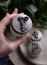 Load image into Gallery viewer, Glass/Copper Mushroom Jars
