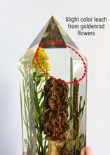 Load image into Gallery viewer, Large - Yellow Morel with Goldenrod (slight color leach) **Light Base Not Included

