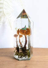 Load image into Gallery viewer, Large - Honey Mushrooms w/ paper Luna moth **Light Base Not Included
