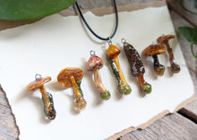 Load image into Gallery viewer, Medium : Sealed Mushroom Pendant with Cord
