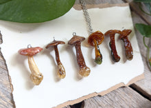 Load image into Gallery viewer, Large : Sealed Mushroom Pendant with Chain
