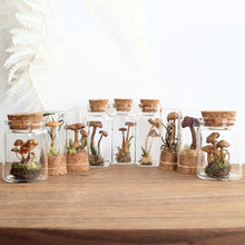 Load image into Gallery viewer, *New : Tabletop Mushroom Vials
