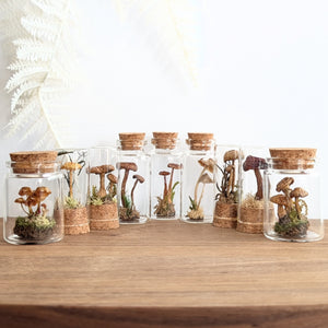 *New : Tabletop Mushroom Vials