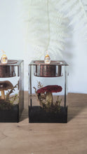 Load and play video in Gallery viewer, Medium Tea Light Candle Holders
