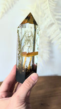 Load and play video in Gallery viewer, Medium - Yellow Fly Agaric
