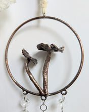 Load image into Gallery viewer, Copper Suncatcher - 2 Mushrooms
