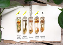 Load image into Gallery viewer, Mushroom Crystal Point Necklace with Chain
