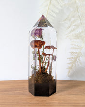 Load image into Gallery viewer, Medium - Ringless Honey Mushrooms

