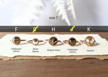Load image into Gallery viewer, Copper Ring : Size 7
