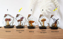 Load image into Gallery viewer, Small - Mushroom Crystals **Discounted**
