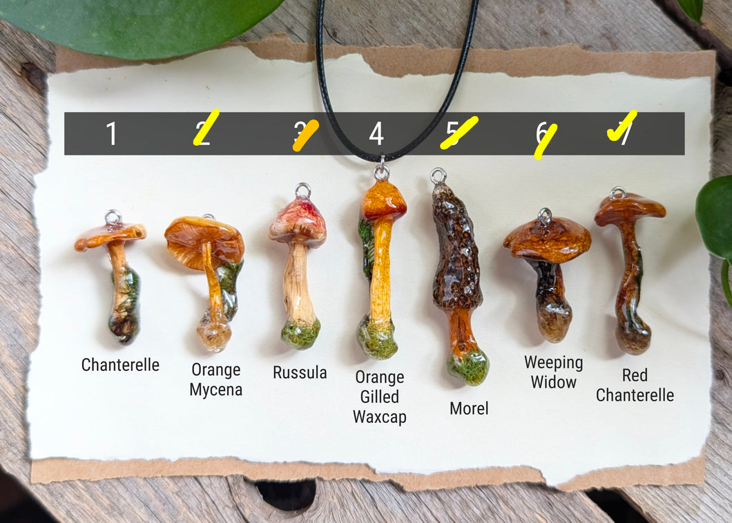 Medium : Sealed Mushroom Pendant with Cord