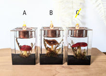 Load image into Gallery viewer, Medium Tea Light Candle Holders
