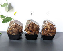 Load image into Gallery viewer, Small - Exuviae Crystals (Cicada shells)
